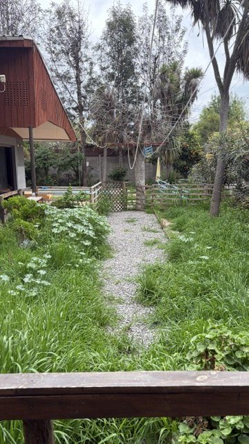 Jardín de la sede Buin