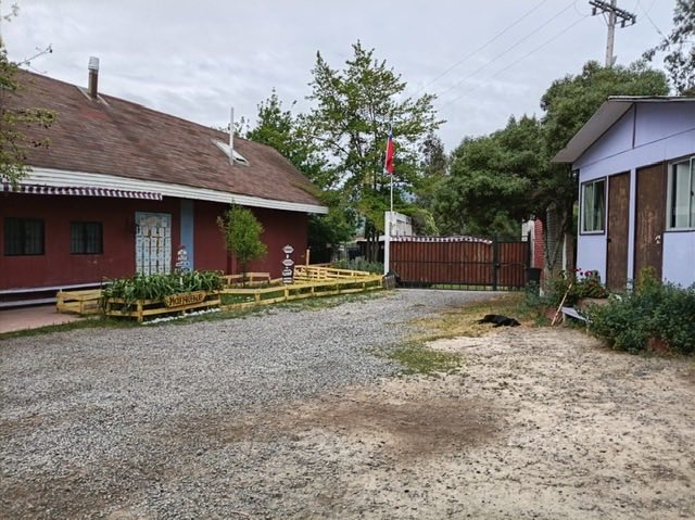 Árboles del entorno de la sede Melipilla