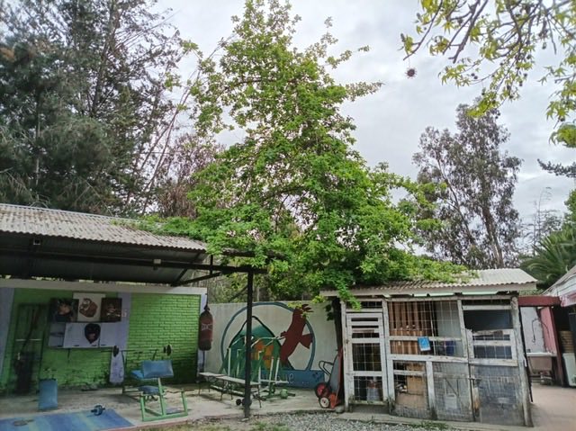 Exterior de la sede Melipilla
